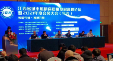 开元平台-开元(中国)一站式服务平台受邀参加江西省城市照明高质量发展高峰论坛